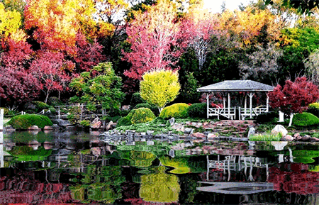 Shangrala's ABC's Of Gorgeous Flowers