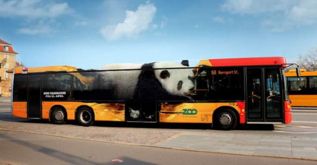 Amazing Bus Ads