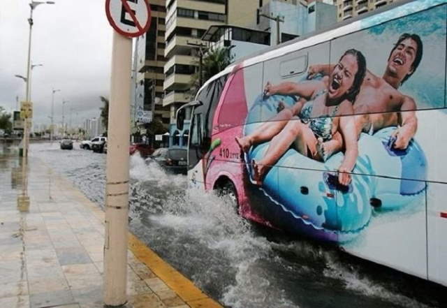 Amazing Bus Ads