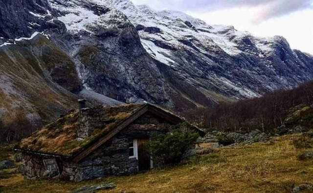 Shangrala's Cabins With Rustic Charm