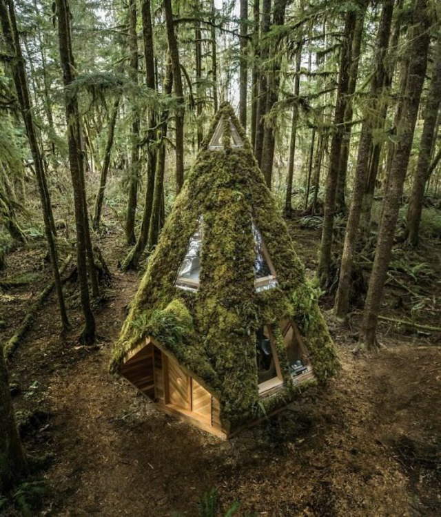Shangrala's Cabins With Rustic Charm