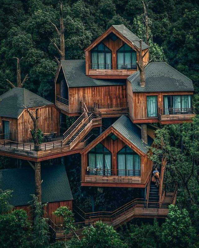 Shangrala's Cabins With Rustic Charm