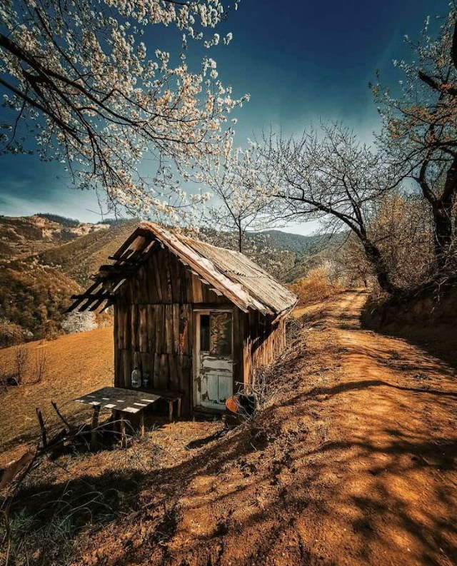Shangrala's Cabins With Rustic Charm