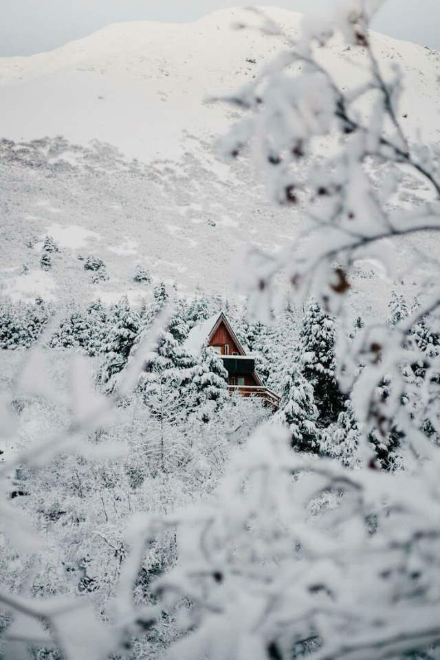 Shangrala's Cabins With Rustic Charm