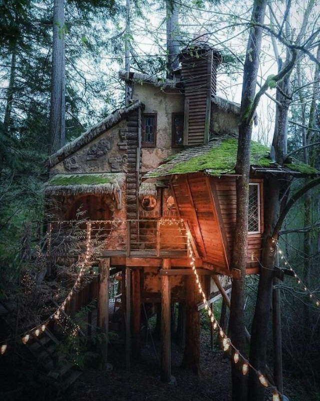 Shangrala's Cabins With Rustic Charm