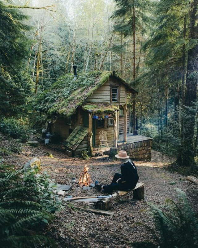 Shangrala's Cabins With Rustic Charm