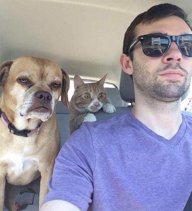 Shangrala's Cat Drama!