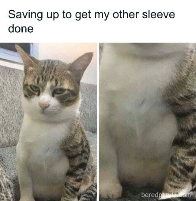 Shangrala's Sweet Cat Memes