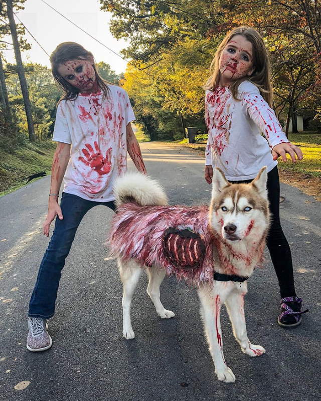 Shangrala's Best Costumes 2