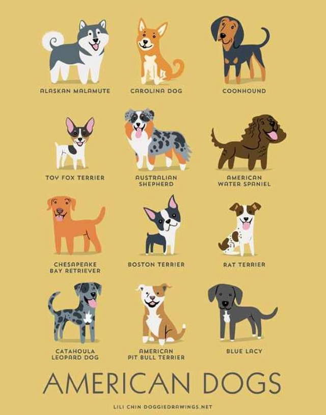 Shangrala's Where's Your Dog From