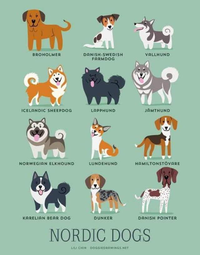 Shangrala's Where's Your Dog From