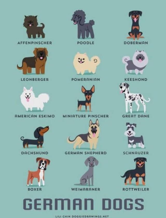 Shangrala's Where's Your Dog From