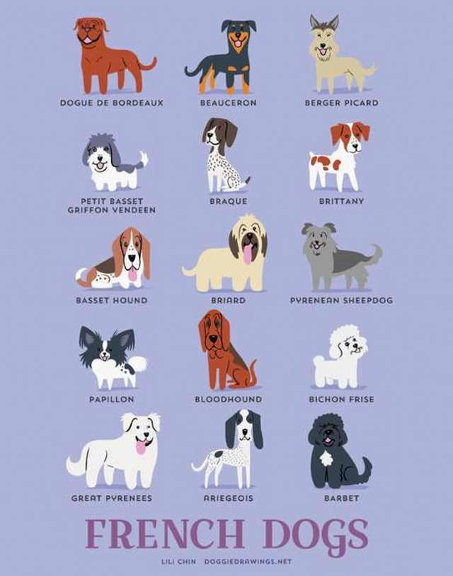 Shangrala's Where's Your Dog From