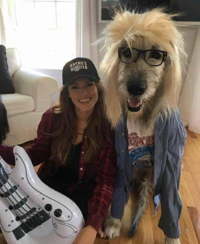 Animals Being Funny