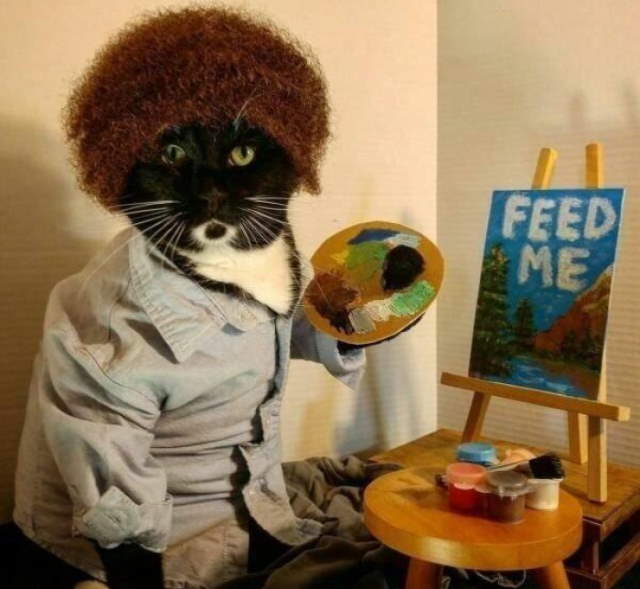 Animals Being Funny