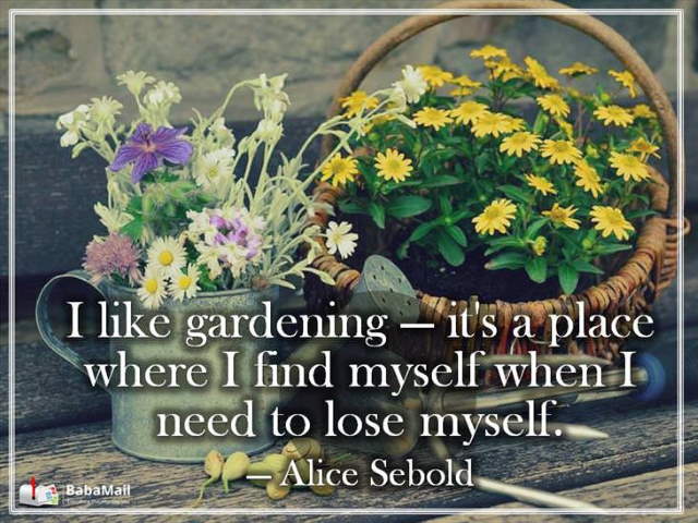 Shangrala's Garden Inspirations
