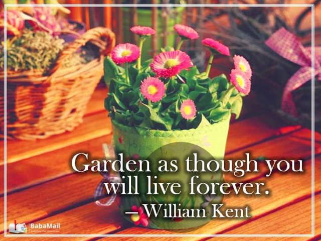 Shangrala's Garden Inspirations