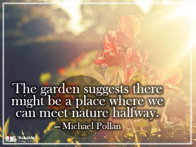 Shangrala's Garden Inspirations