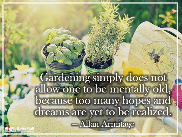 Shangrala's Garden Inspirations