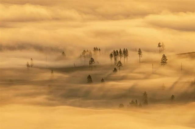 Shangrala's GDT Nature Photo Awards