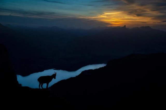 Shangrala's GDT Nature Photo Awards