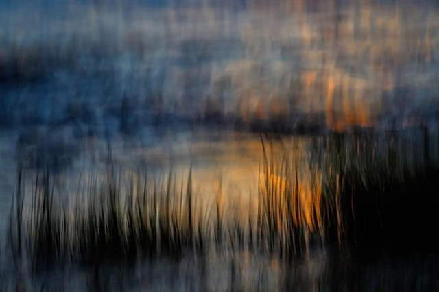 Shangrala's GDT Nature Photo Awards