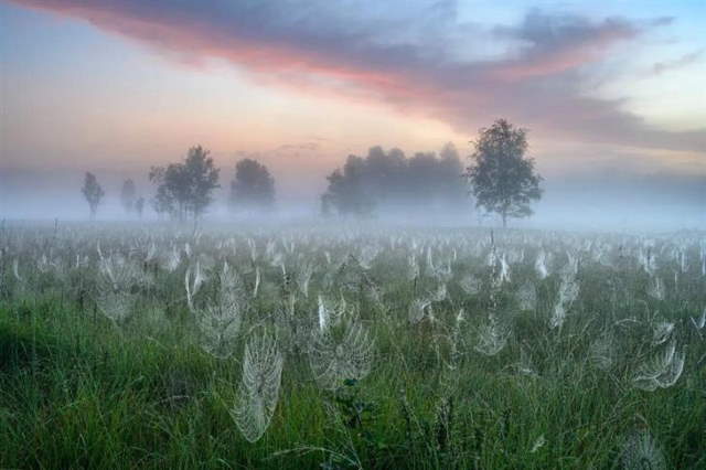 Shangrala's GDT Nature Photo Awards