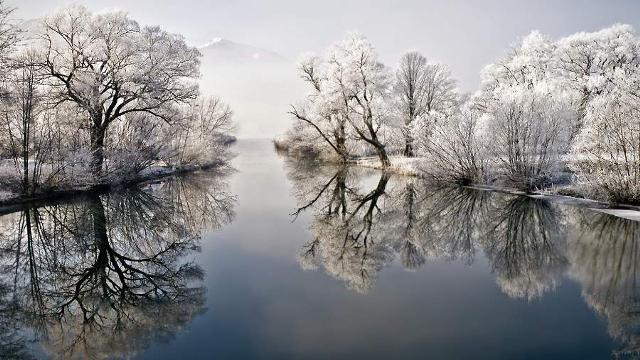 Shangrala's God's Most Beautiful 7!
