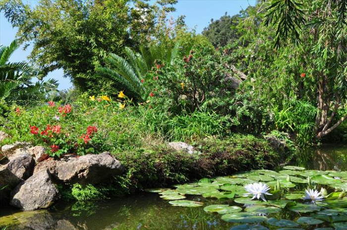 Shangrala's Italy's Beautiful Gardens
