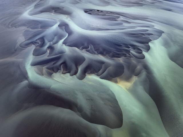 Shangrala's IPA Nature Photo Awards