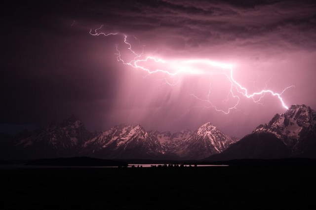 Shangrala's IPA Nature Photo Awards