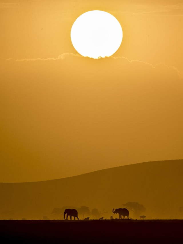 Shangrala's IPA Nature Photo Awards