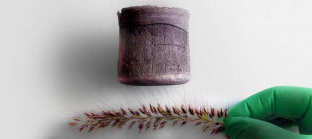 Shangrala's World's Strangest Materials