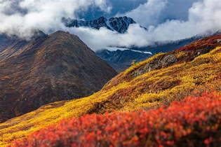 Shangrala's US Natural Works Of Art 2