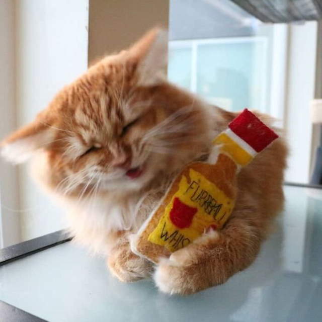 Shangrala's Cute Pets With Toys