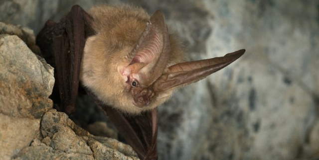 Shangrala's Amazing Photos 8