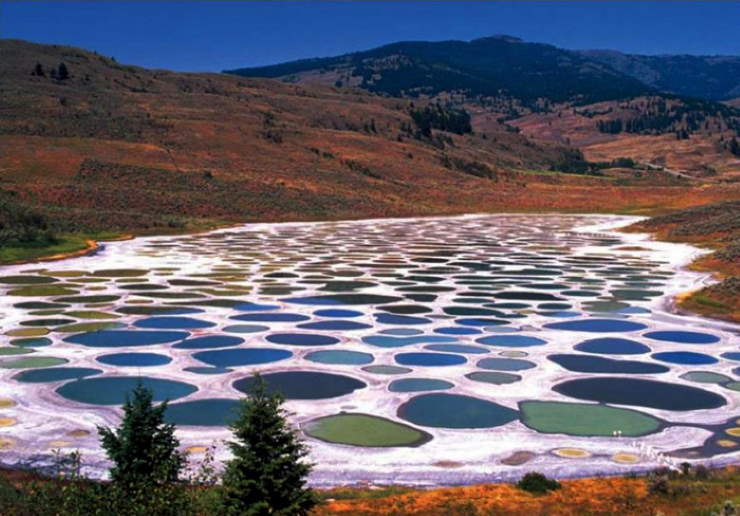 Shangrala's Amazing Photos 8