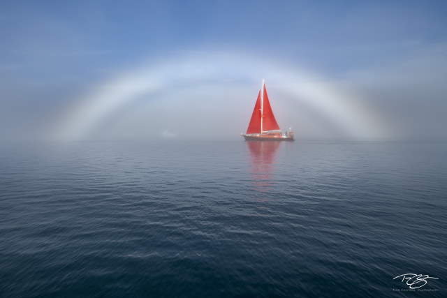 Shangrala's Amazing Photos 8