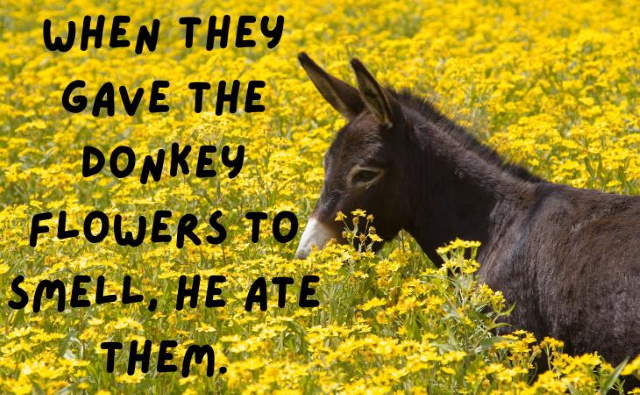 Shangrala's Armenian Wise Sayings
