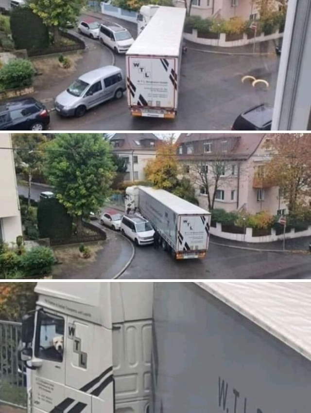 Animals Acting Weird