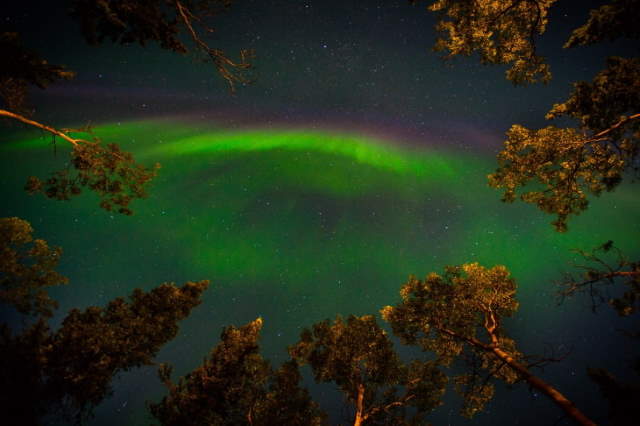 Shangrala's Stargazing In The USA