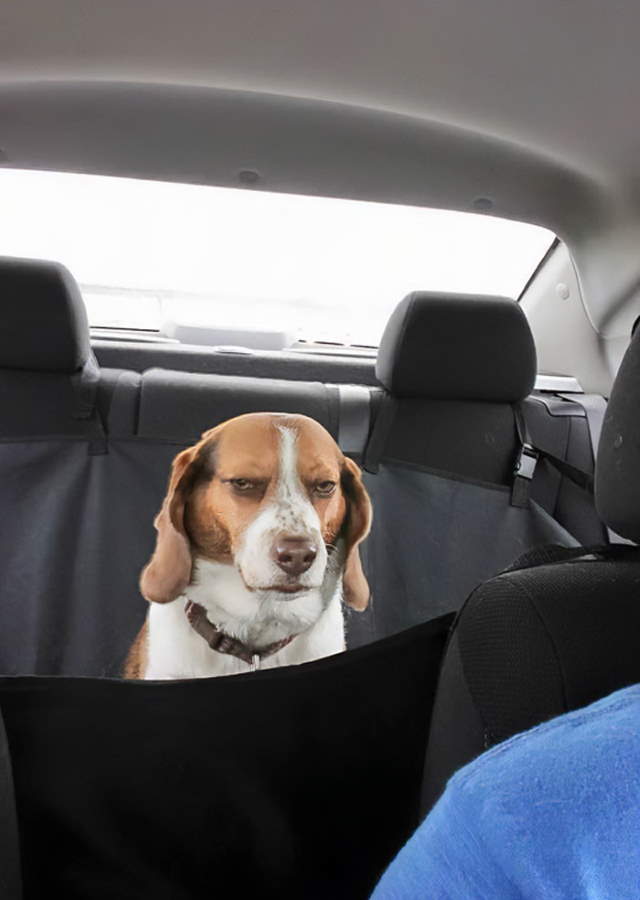 Shangrala's Vacation Time