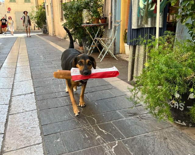 Shangrala's Vacation Time
