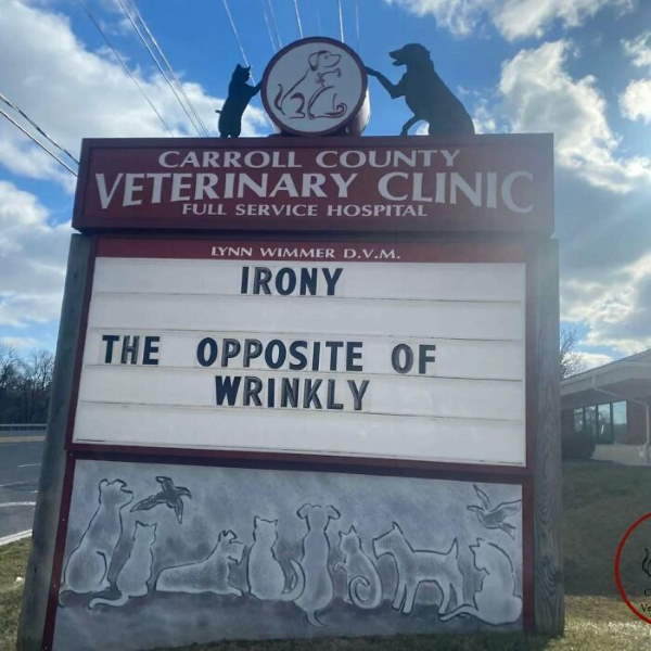Shangrala's Funny Veterinary Signs