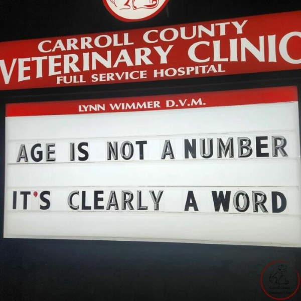 Shangrala's Funny Veterinary Signs