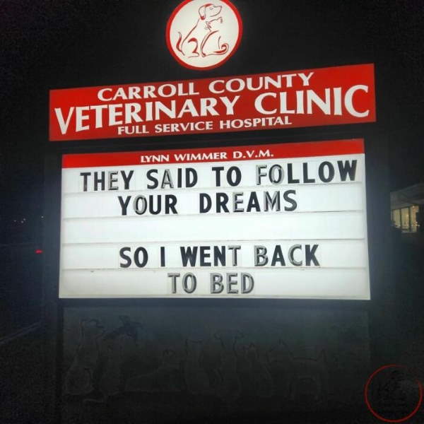 Shangrala's Funny Veterinary Signs