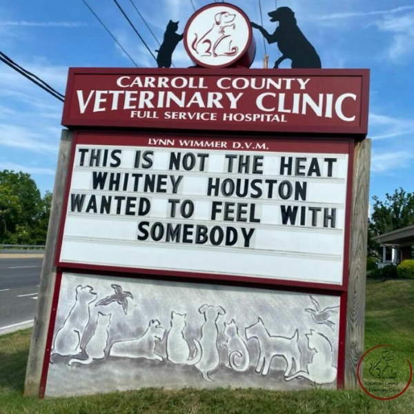 Shangrala's Funny Veterinary Signs