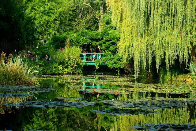 Shangrala's World's Beautiful Gardens