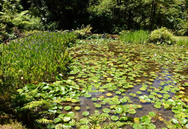 Shangrala's World's Beautiful Gardens