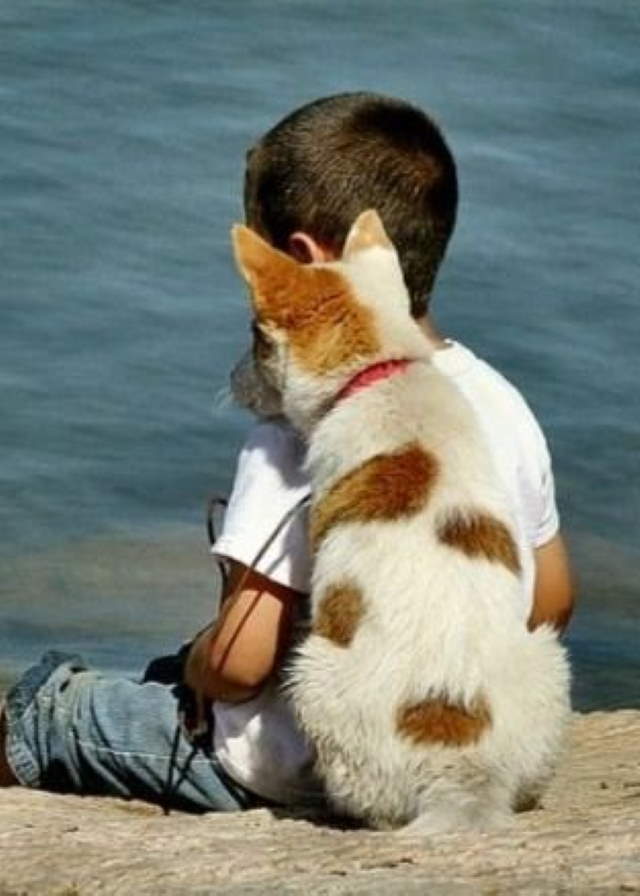 Shangrala's Kids With Animals 4